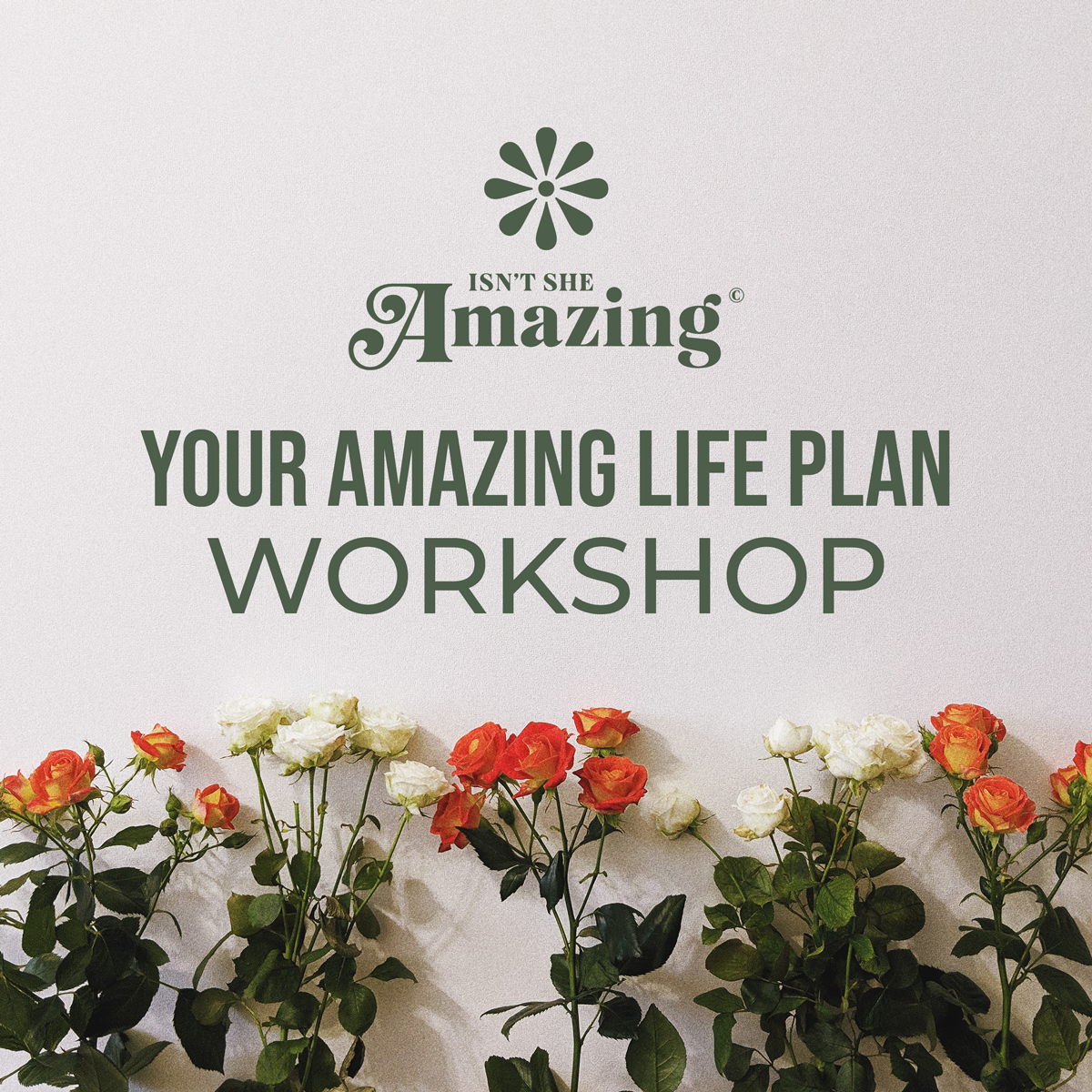 Your Amazing Life Plan Workshop