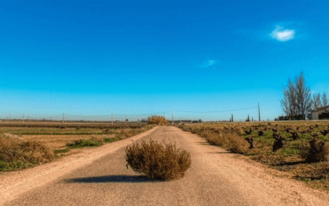 Do You Feel Like a Tumbleweed?